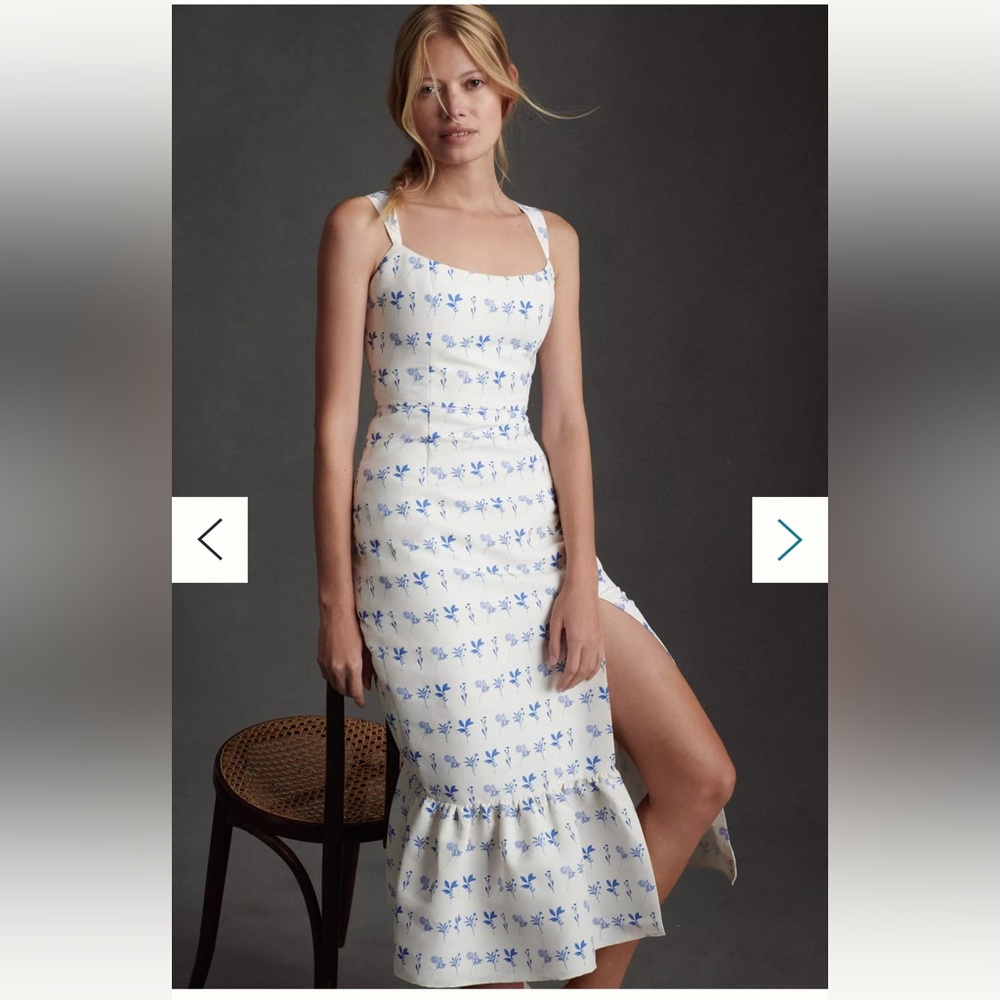 Sachin & Babi Eliza Chinoiserie Midi Dress size 2
